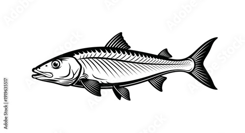 Mackerel Fish Illustration - Vintage Style