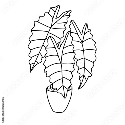 ornamental plant doodle art, ornamental plant line art, ornamental plant illustrations.