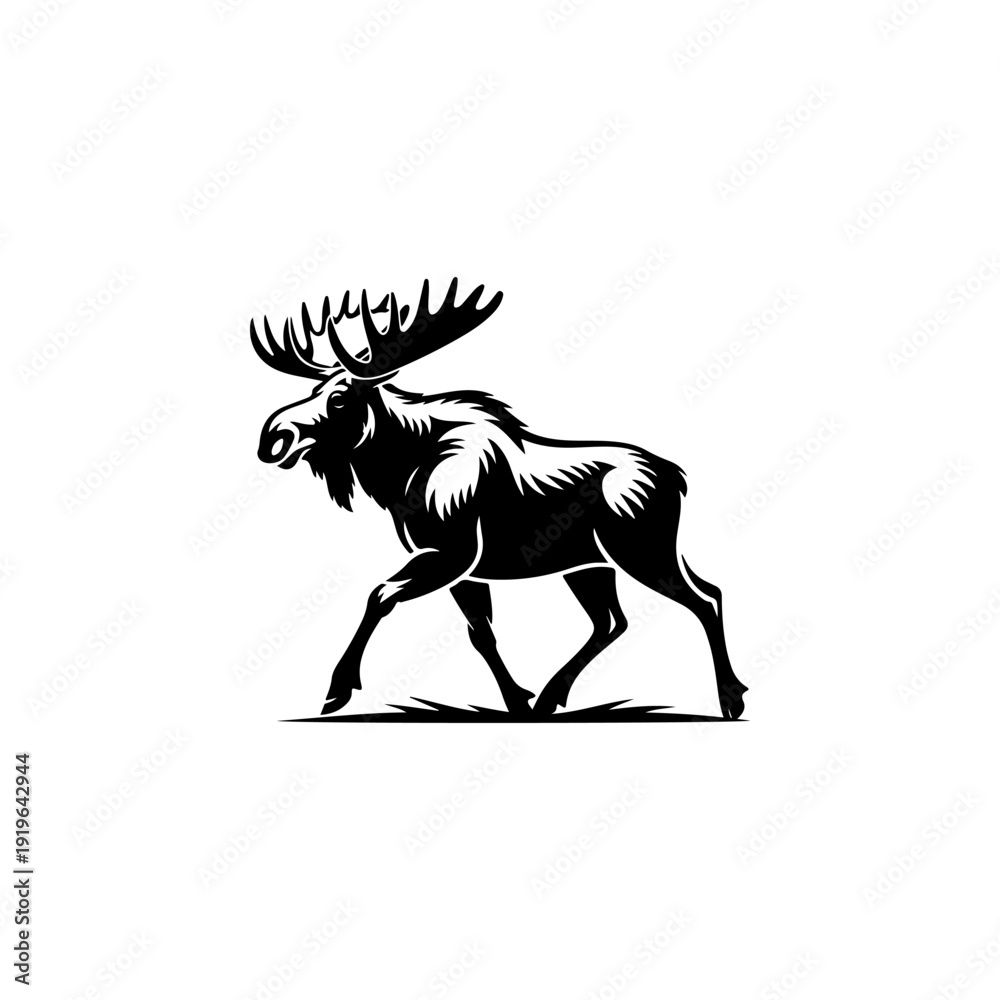 Obraz premium A bold black and white vector illustration of a majestic moose walking. This high-contrast wildlife graphic features large palmated antlers and is isolated on white.