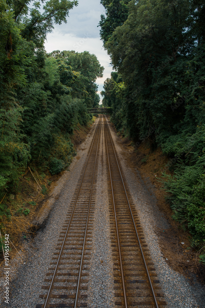 Obraz premium High angle symmetrical view of straight railway tracks passing through a green forest in Greensboro North Carolina USA now.