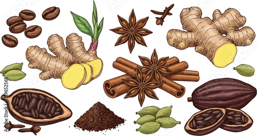Assortment of various spices and ingredients including ginger roots and cardamom pods arranged on white background