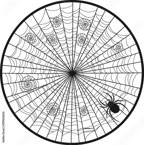 Intricate spider web with radial threads and spiral patterns in black and white illustration