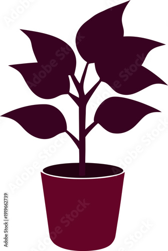 Burgundy rubber plant silhouette in decorative pot