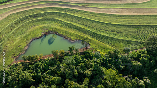 Aerial view of hay plantation with contour lines and a small pond on a farm