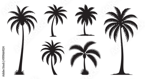 Varied Tropical Palm Tree Silhouettes Vector Set - Island Vacation & Summer Design Elements