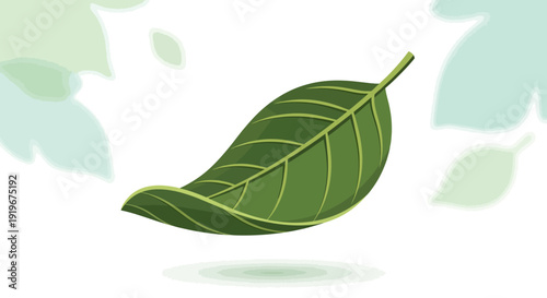 Green Leaf Close Up.