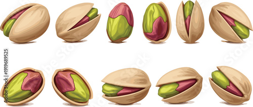 Realistic pistachio nut illustration set. Open and whole shells with vibrant green kernels in symmetrical rows. Detailed food artwork on white background with dark gray border.