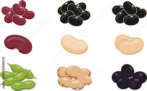 Bean and legume illustration grid set. Kidney, black, soybean and lima varieties in cartoon style. Clean food collection isolated on white background with gray border.