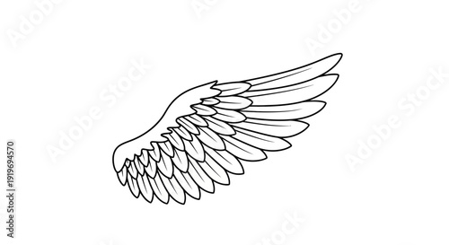 Elegant Line Art Angel Wing Illustration - Isolated White Background