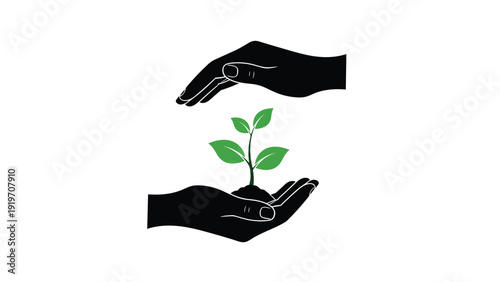 Pair of human hands gently protecting a young green plant sprout as a symbol of environmental growth and sustainable care.