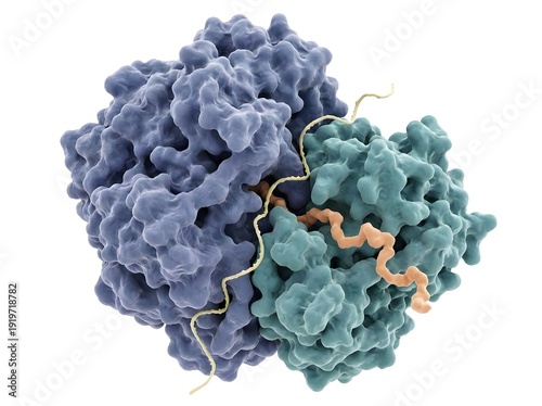 Photorealistic protein molecule complex isolated on white background. Clean biological enzyme structure model for science education.