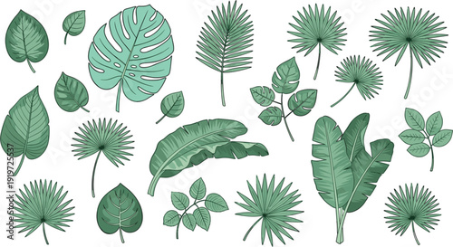 Large collection of hand drawn tropical green leaves including palm monstera and banana leaf isolated on white background.