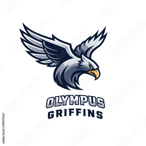 Eagle Logo Design with Wings Outstretched.