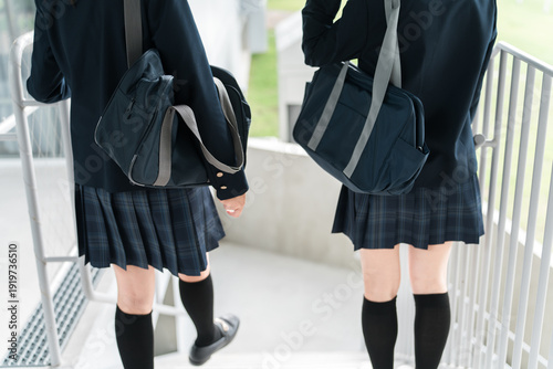 Obraz na plátně High school girls, junior high school students, high school students, elementary