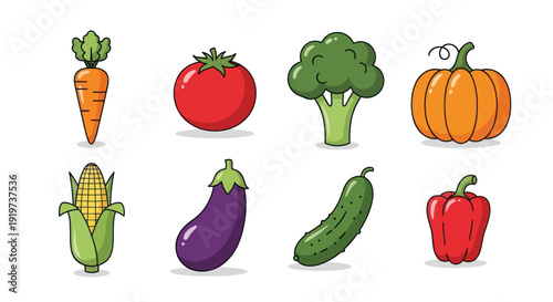 Colorful vegetables illustration on white
