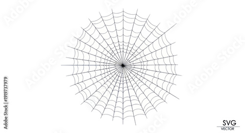 Intricate Spider Web with a Tiny Spider at the Center on White Background