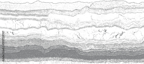 Detailed cross section of geological strata showing layered rock formations and sediment deposits geology