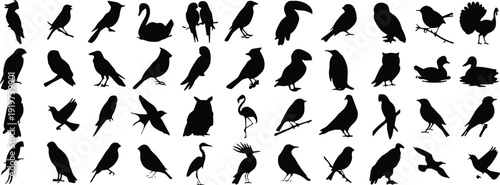 bird silhouette vector mega set. Crows, doves, swans, parrots and cranes in flying and standing poses. Minimalist black grid isolated on white background.