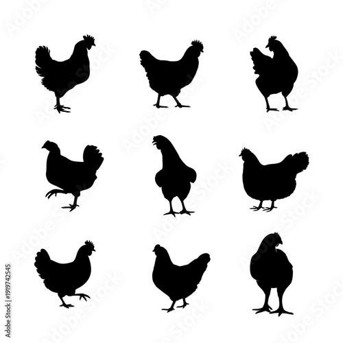 Chicken Hen Rooster Silhouette Farm Animal Icon Collection