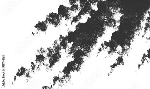 Dark gray textured cloud shapes against a stark white background with a fractal pattern abstract