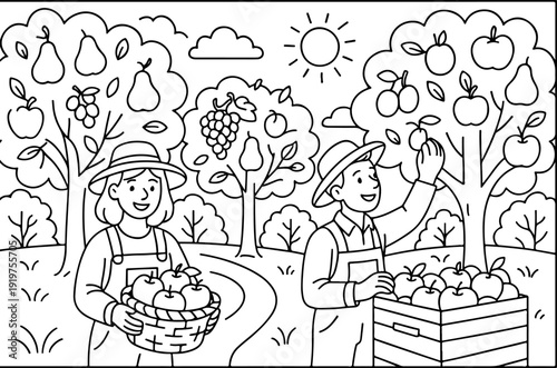 Fruits Orchard hand drawn vector illustration doodle art line art coloring page for kids