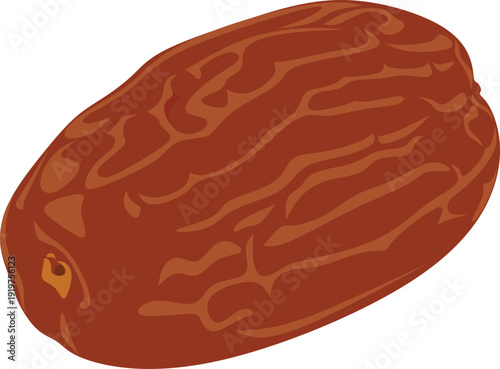 A dried date isolated on a white background