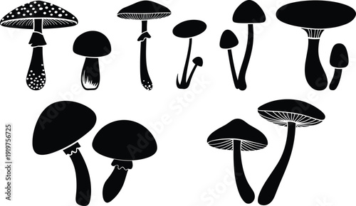 Black silhouettes of tactical soldiers, forest wildlife, African safari animals, and botanical mushroom sketches, CAD drawing flat vector illustration isolated on white background