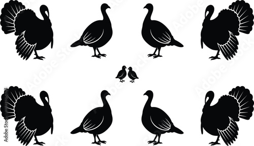 Black silhouettes of wild turkey birds and small chicks in various poses, farm poultry set, CAD drawing flat vector illustration isolated on white