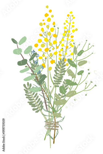 Mimosa and Mixed Herb Botanical Bouquet Illustration Art