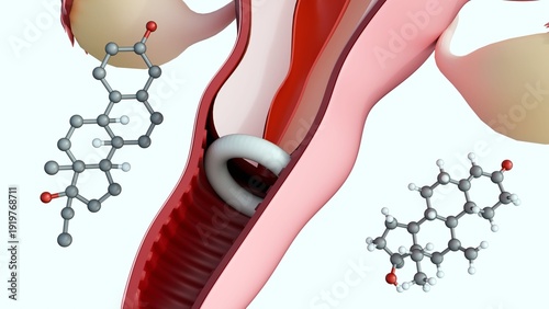 Фотография A 3d rendering of contraceptive ring, flexible plastic ring that a person inserts into the vagina, the ring slowly releases the hormones estrogen and progestin directly into the vaginal lining