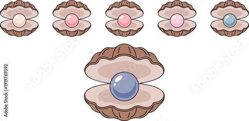 A digital illustration of five oyster shells arranged horizontally at the top of the image, followed by a larger oyster shell below them.