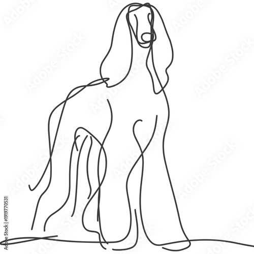 アフガン・ハウンド