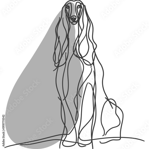 アフガン・ハウンド