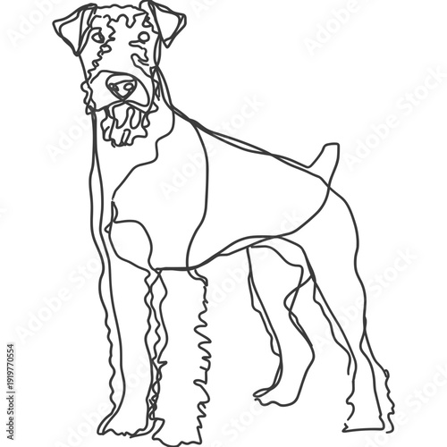 エアデール・テリア