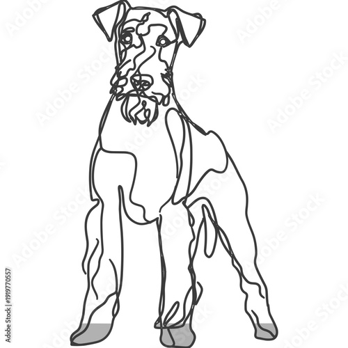 エアデール・テリア