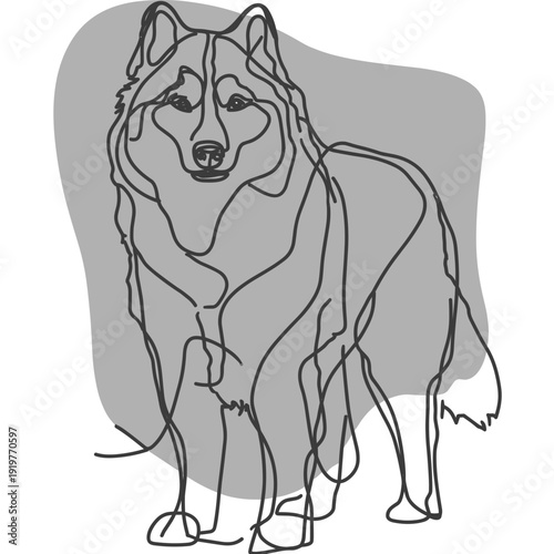 アラスカン・マラミュート