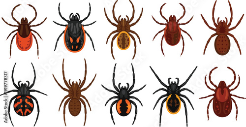 Spider and tick illustration set featuring various arachnid species with detailed bodies for biology education pest control and nature design projects