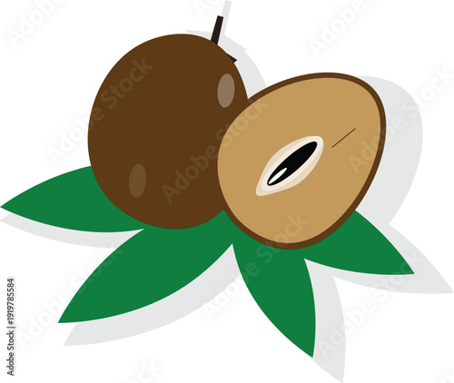 Minimalist Sapodilla Fruit Vector Icon - Simple Flat Ciku or Sawo Illustration for Tropical Exotic Fruit Design.