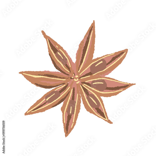 Star Anise Illustration Top View
