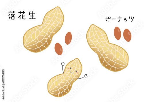 落花生とピーナッツのイラスト素材（ベクター）