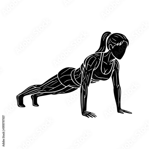 female push up silhouette fitness workout muscle anatomy vector