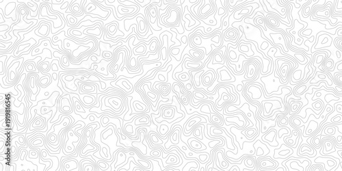 Gray topographic map contour lines pattern on white background