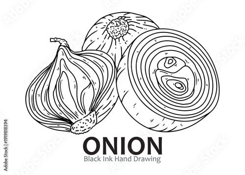 Black ink hand drawing of whole and sliced onions, showcasing their distinct layers and natural texture, perfect for culinary designs.