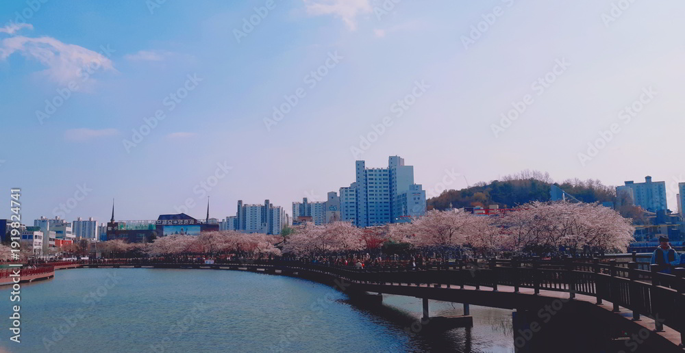 Naklejka premium 한국 광주 운천저수지_2019_1 Korea's Reservoir Landscape 2019_2