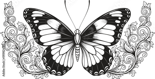A black and white butterfly with intricate wing patterns and details