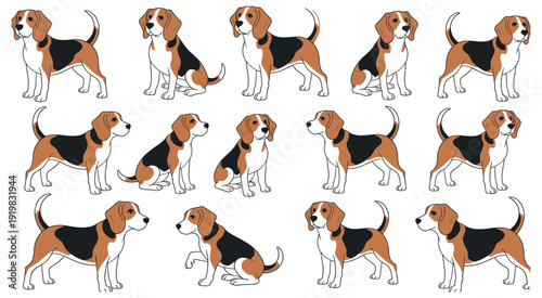 Beagle Dog Character Vector Illustration with Cute Cartoon Poses for Pet Mascot Design