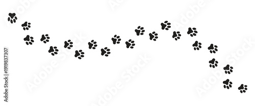 Paw Print Icon Set , Cat and Dog Puppy Pet Footprint Symbols Flat Style Vector Collection.