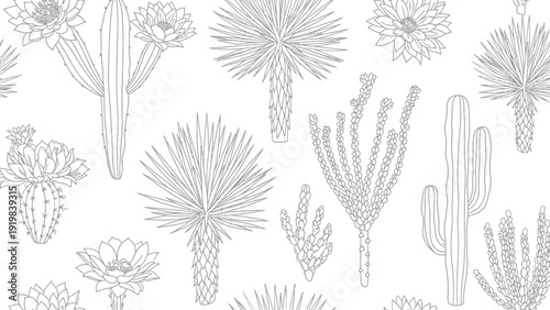 Cacti and Succulent Plants Illustration.