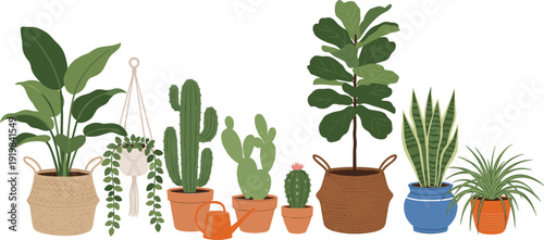 Indoor houseplant vector set with potted tropical plants, cactus and succulent home decor botanical collection