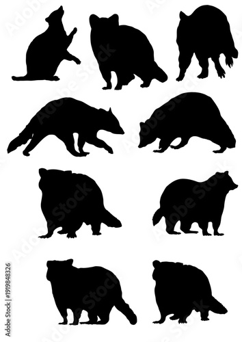 Raccoon Silhouette Set in Various Poses